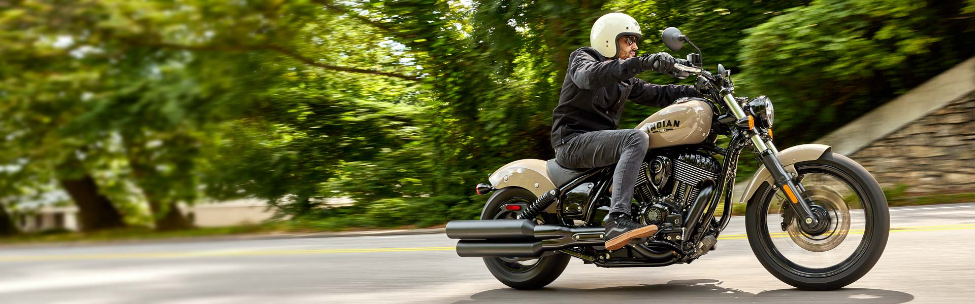 Chief Dark Horse Chief Dark Horse